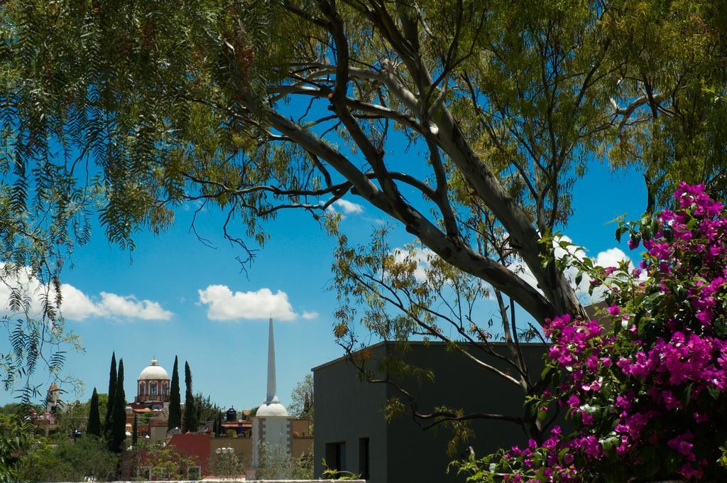 Casa Mision De San Miguel Ξενοδοχείο Σαν Μιγκέλ ντε Αγιέντε Εξωτερικό φωτογραφία