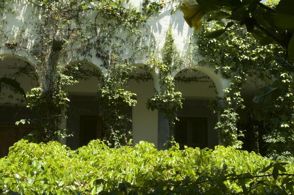 Casa Mision De San Miguel Ξενοδοχείο Σαν Μιγκέλ ντε Αγιέντε Εξωτερικό φωτογραφία