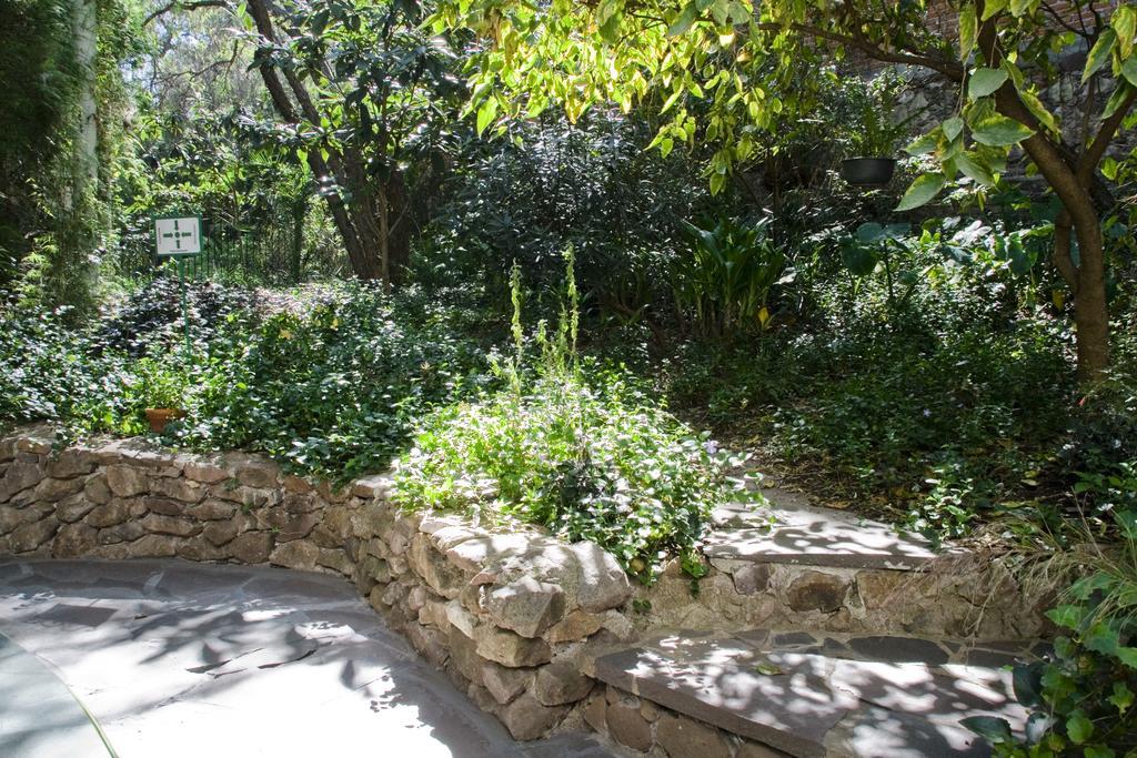 Casa Mision De San Miguel Ξενοδοχείο Σαν Μιγκέλ ντε Αγιέντε Εξωτερικό φωτογραφία